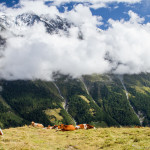 Adventure, Europe, France, Haute Route, Hiking, Sports, Switzerland, event