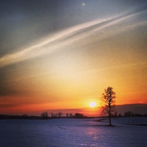 Spring is on the Horizon #sunset #tree