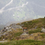 Adventure, Europe, Haute Route, Hiking, Mountains, Sports, Switzerland, event