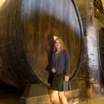 Culture, Europe, Florence, Italy, Travel, Tuscany