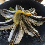 Europe, Italy, Travel, Tuscany