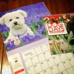 Yuki Toyota Calendar 2015