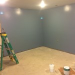 Pain Cave Remodel - Painted 2