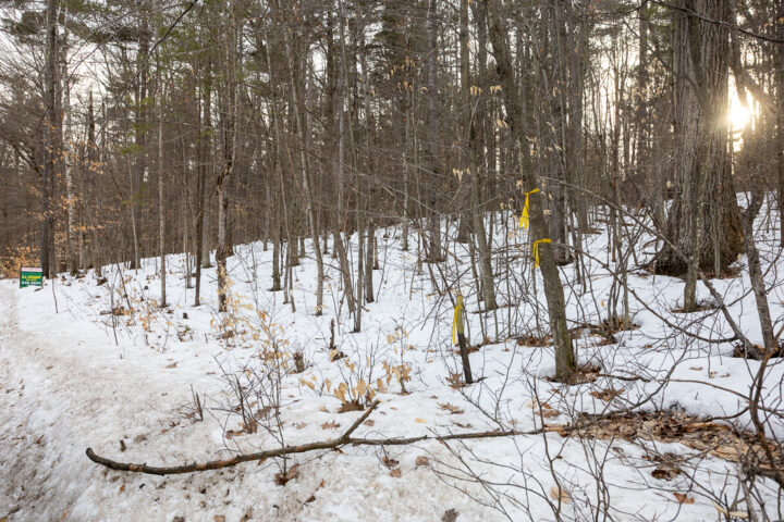 Adirondacks, America, AusableAcres, Dax, Jay, New York, North America, USA, United States, land