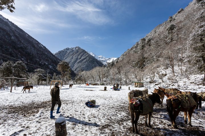 Bhutan201903-11117.jpg