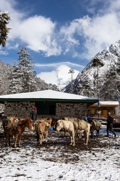 Bhutan201903-11122.jpg