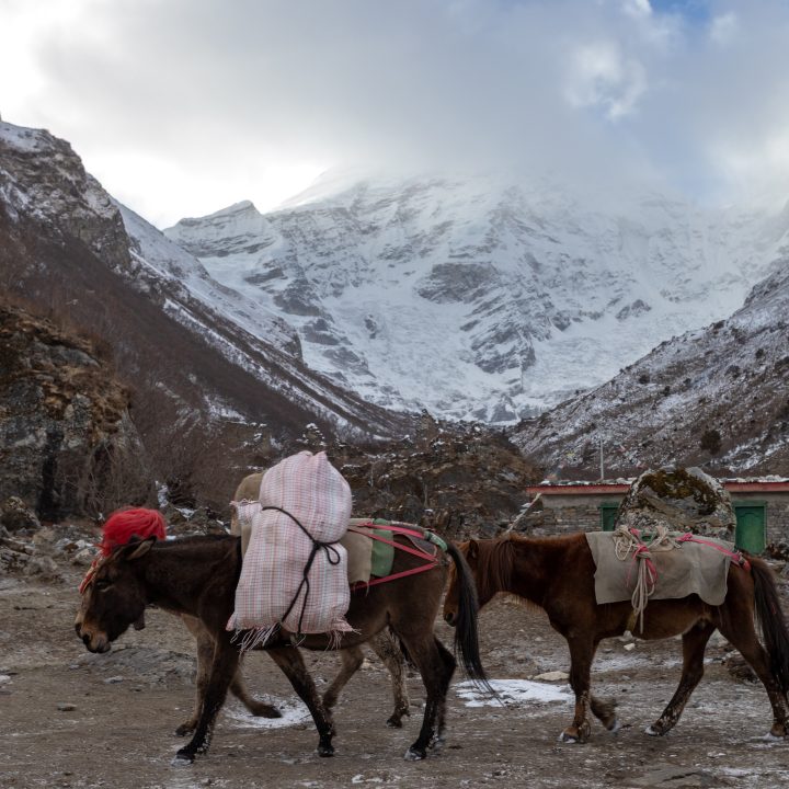 Bhutan201903-11227.jpg