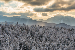 @Places, Adirondacks, Lake Placid, Mountains, New York, Snow, Snowshoeing, Tree, United States, Winter