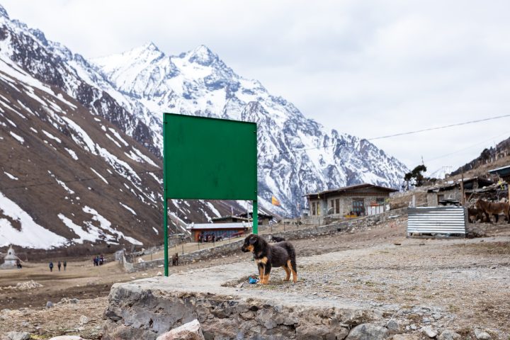 Bhutan201903-10632.jpg