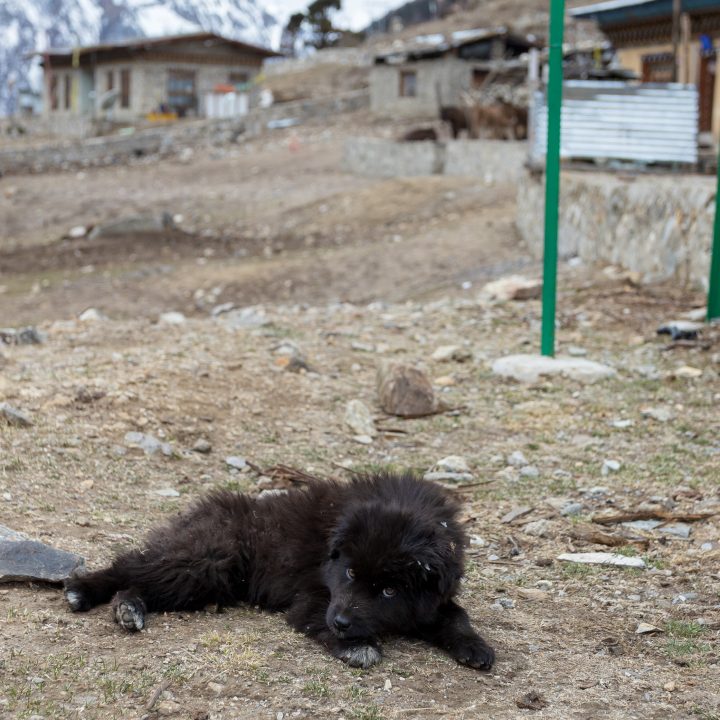 Bhutan201903-10661.jpg