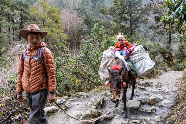 Bhutan201903-10839.jpg