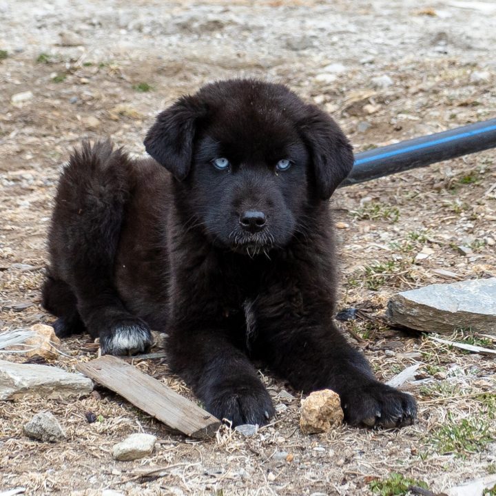 Bhutan201903-10909.jpg