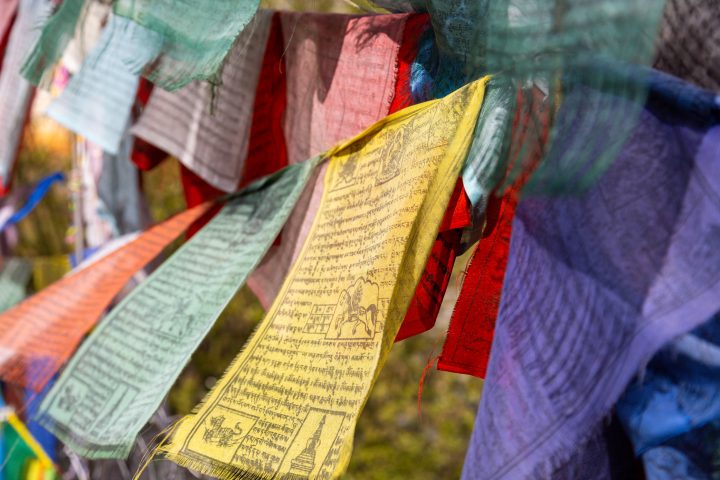 Bhutan201903-11647.jpg