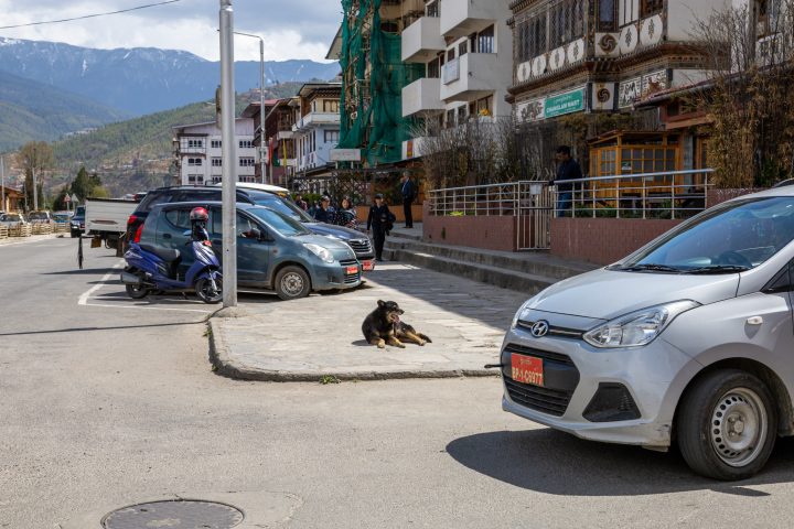 Bhutan201903-11741.jpg