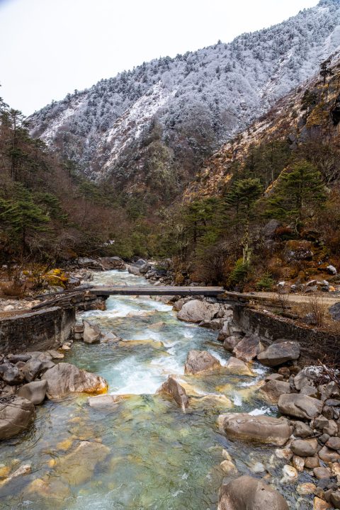Bhutan201903--2.jpg