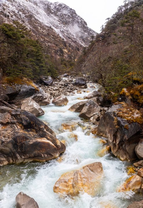 Bhutan201903--3.jpg