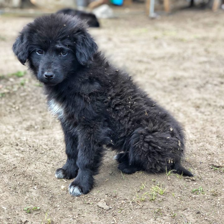 Bhutan201903-3091.jpg