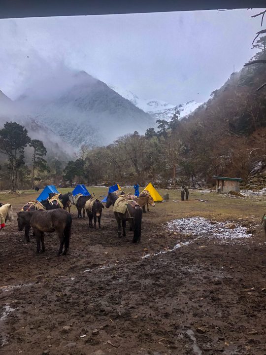 Bhutan201903-3103.jpg