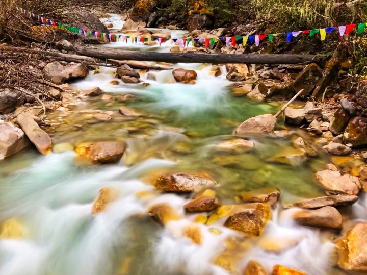 Bhutan201903-3122.jpg